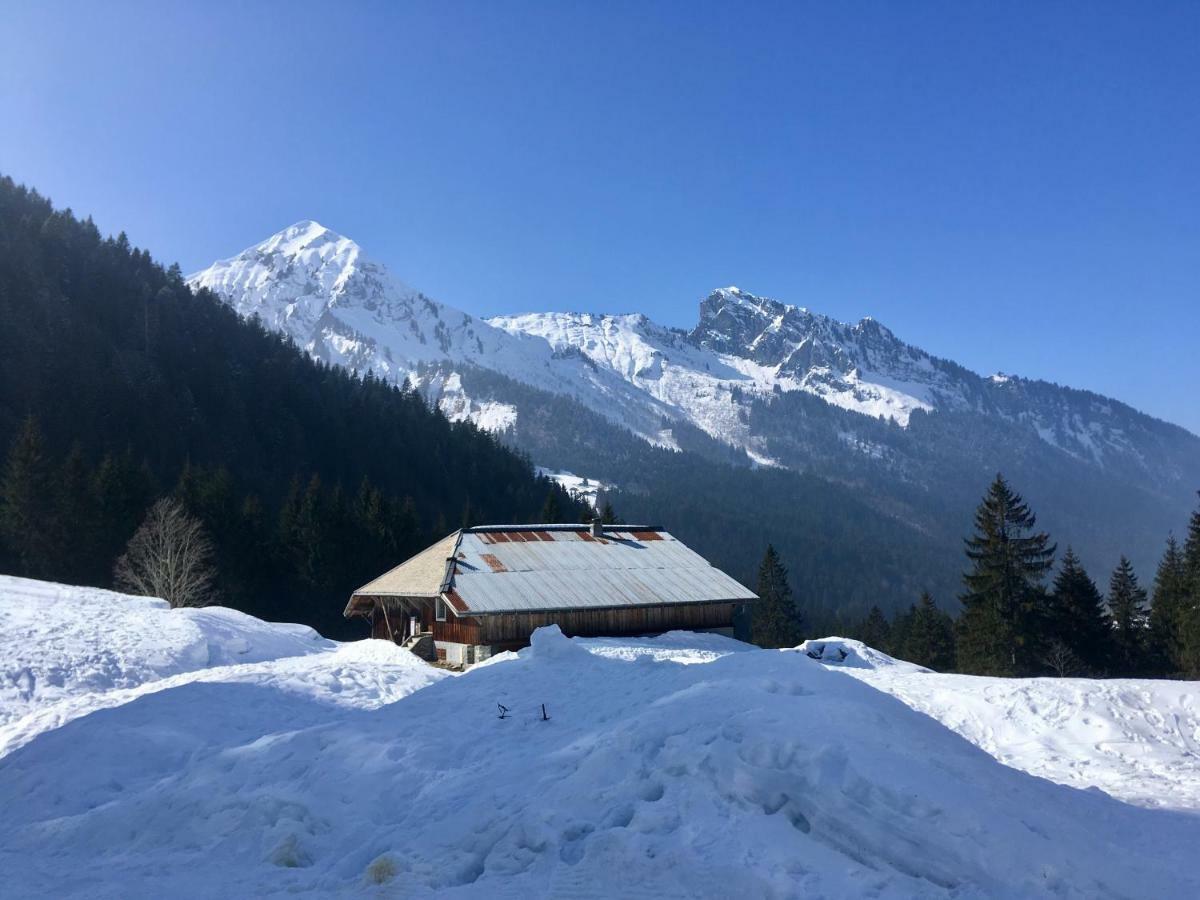 Chalet Marmotte 2 Морзин Экстерьер фото