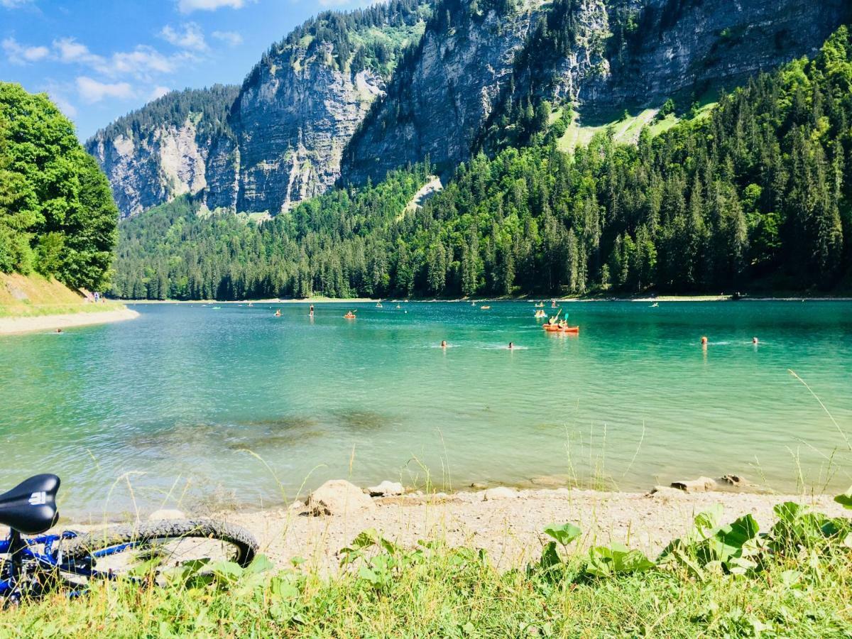Chalet Marmotte 2 Морзин Экстерьер фото