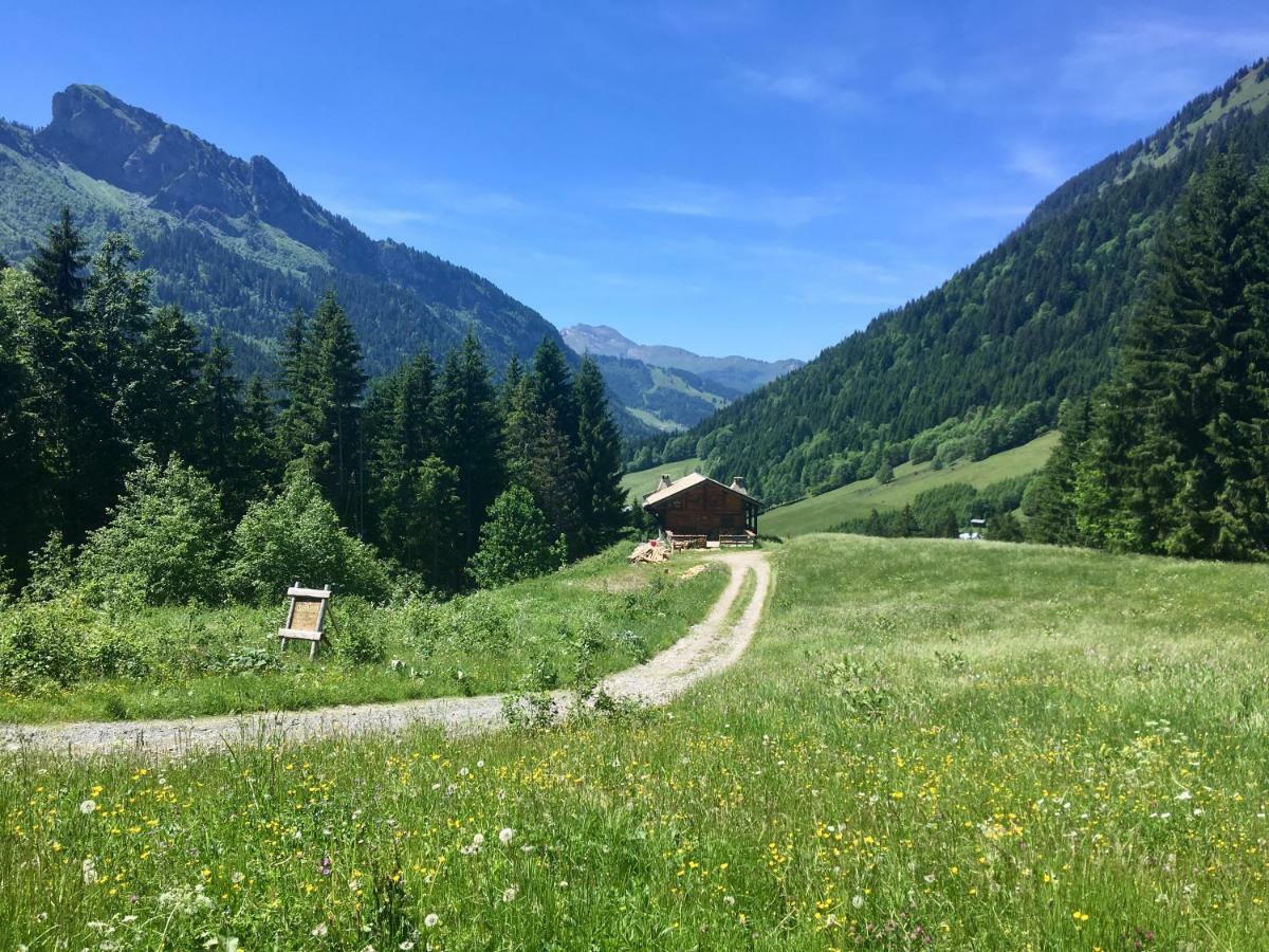 Chalet Marmotte 2 Морзин Экстерьер фото