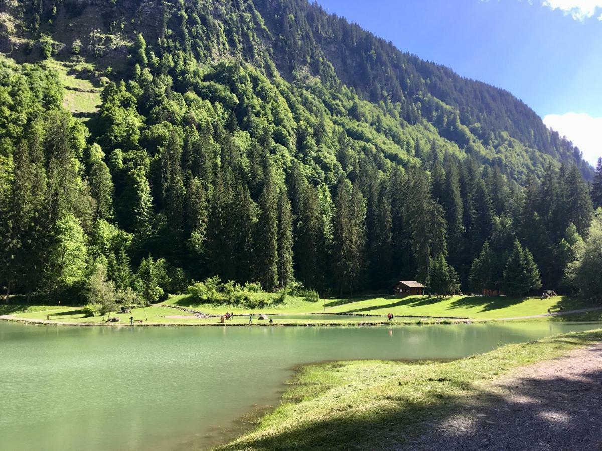 Chalet Marmotte 2 Морзин Экстерьер фото